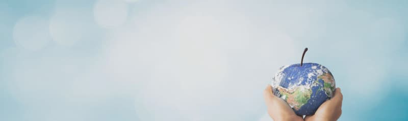 Global Supply Chains Key to Fair Future on World Food Day