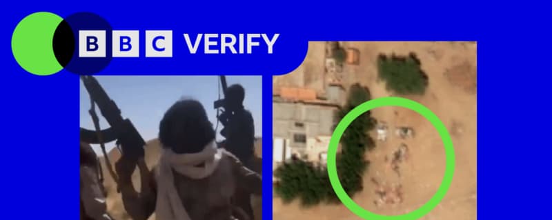 Videos Capture Executions in Sudan as RSF Militia Seizes City